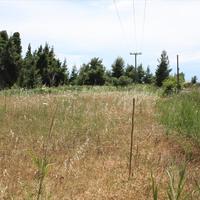 Земельный участок в Греции