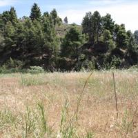 Земельный участок в Греции