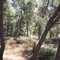 Вилла в Греции, 400 кв.м.