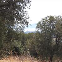 Земельный участок в Греции