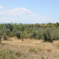 Земельный участок в Греции