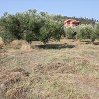 Земельный участок в Греции