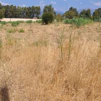 Land plot in Greece