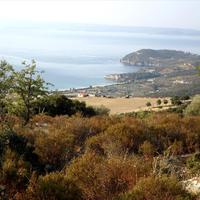 Земельный участок в Греции, 8500 кв.м.