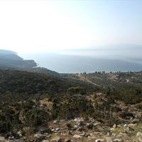 Земельный участок в Греции, 8500 кв.м.