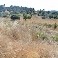 Land plot in Greece