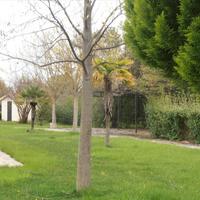 Villa in Greece, 435 sq.m.