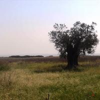 Земельный участок в Греции