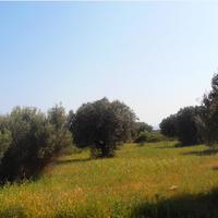 Земельный участок в Греции