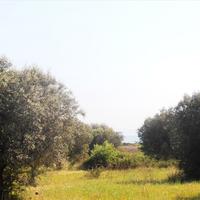 Земельный участок в Греции