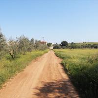 Земельный участок в Греции