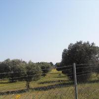 Земельный участок в Греции