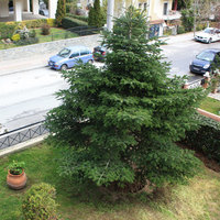 Flat in Greece, 81 sq.m.