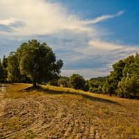 Land plot in Greece, 4238 sq.m.