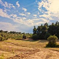 Land plot in Greece, 4238 sq.m.