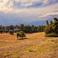 Land plot in Greece, 4238 sq.m.