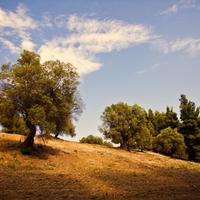 Land plot in Greece, 4238 sq.m.