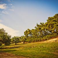 Land plot in Greece, 4238 sq.m.