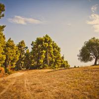 Land plot in Greece, 4238 sq.m.