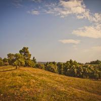 Land plot in Greece, 4238 sq.m.