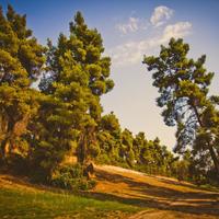 Land plot in Greece, 4238 sq.m.