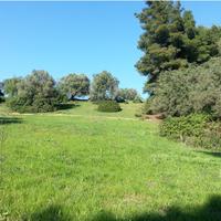 Land plot in Greece, 4238 sq.m.