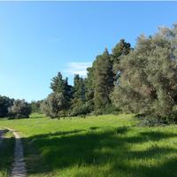 Land plot in Greece, 4238 sq.m.