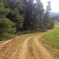 Land plot in Greece, 4238 sq.m.