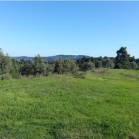 Land plot in Greece, 4238 sq.m.