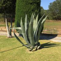 Villa in Greece, 256 sq.m.