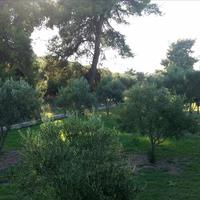 Другое в Греции, 200 кв.м.