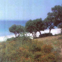 Land plot in Greece, 5080 sq.m.