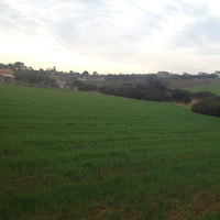 Land plot in Greece, 36875 sq.m.