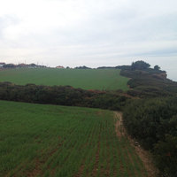 Land plot in Greece, 36875 sq.m.