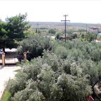 Другое в Греции, 235 кв.м.