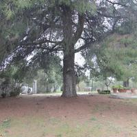 Villa in Greece, 276 sq.m.