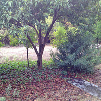 Villa in Greece, 485 sq.m.