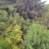 Villa in Greece, 485 sq.m.