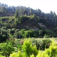 Таунхаус в Греции, 66 кв.м.