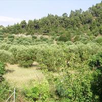 Таунхаус в Греции, 66 кв.м.