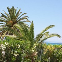 Flat in Greece, 55 sq.m.