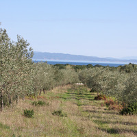 Земельный участок в Греции