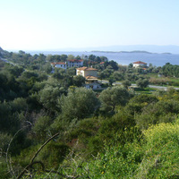 Land plot in Greece, 11600 sq.m.