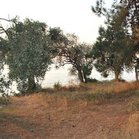 Land plot in Greece, 1580 sq.m.