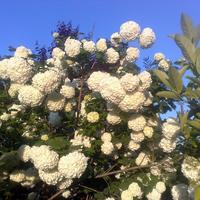 Villa in Greece, 346 sq.m.