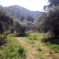 Земельный участок в Греции, 1050 кв.м.