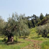 Земельный участок в Греции