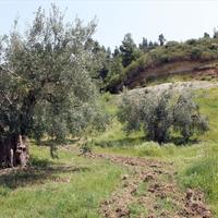 Земельный участок в Греции