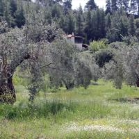 Земельный участок в Греции