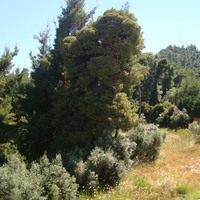 Business center in Greece, 3050 sq.m.